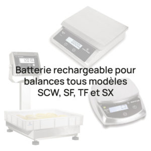 bourgeat BOUBATT0001 batterie pour balances